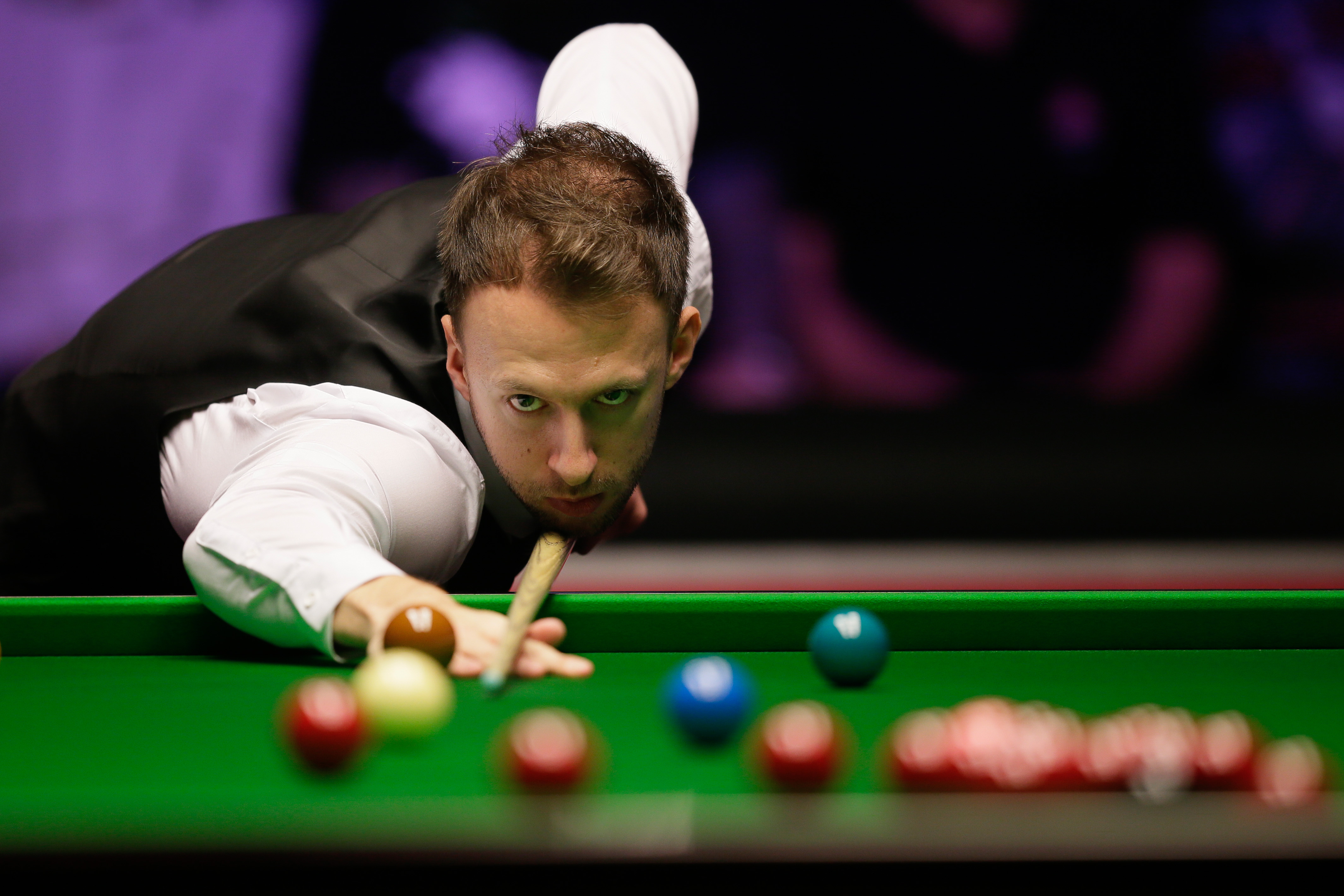 东部的雄鹿 东部的雄鹿