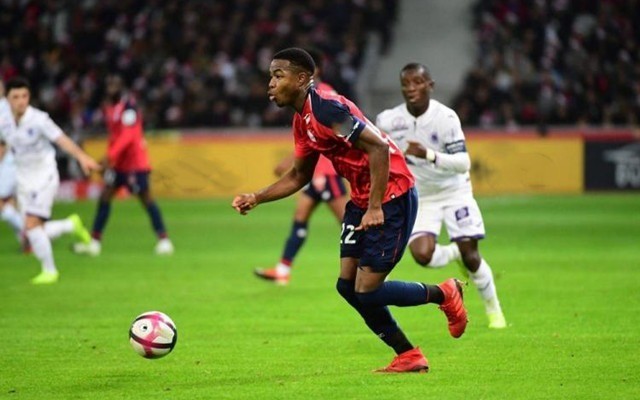 为两大锋线 为两大锋线