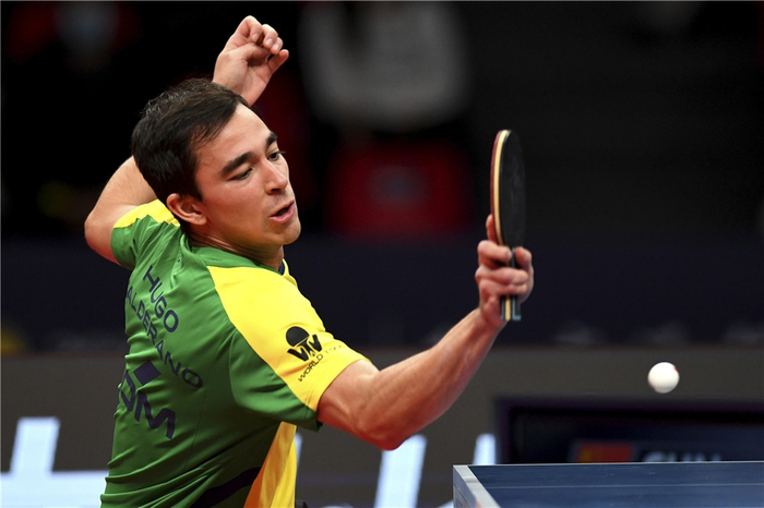 的多样化 的多样化